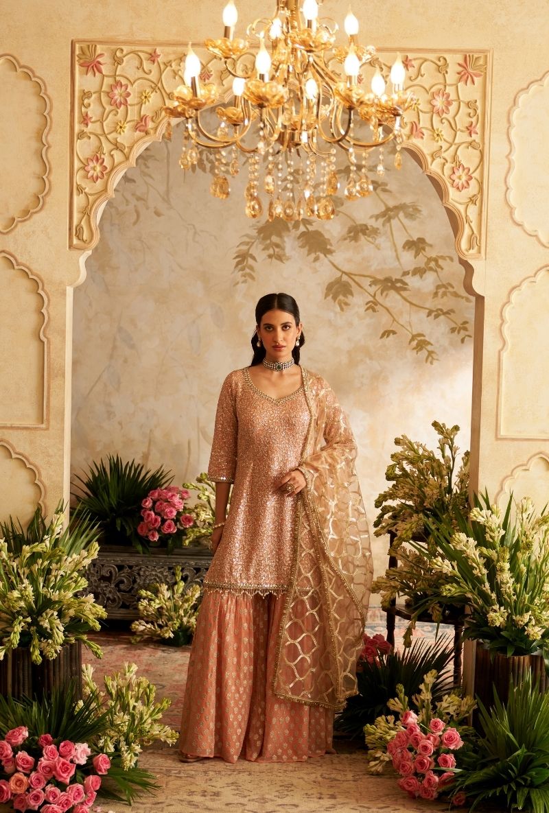 Pink Heavy Sequin Embroidery Rumi Gharara Set