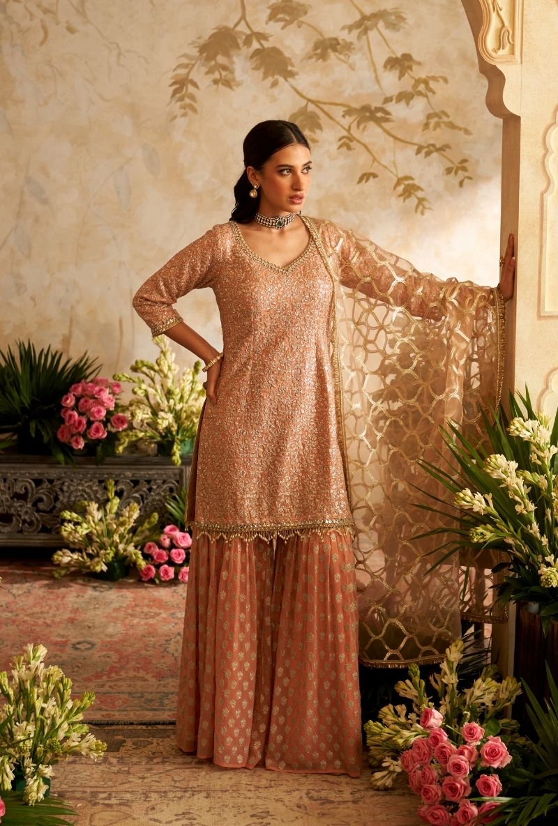Pink Heavy Sequin Embroidery Rumi Gharara Set