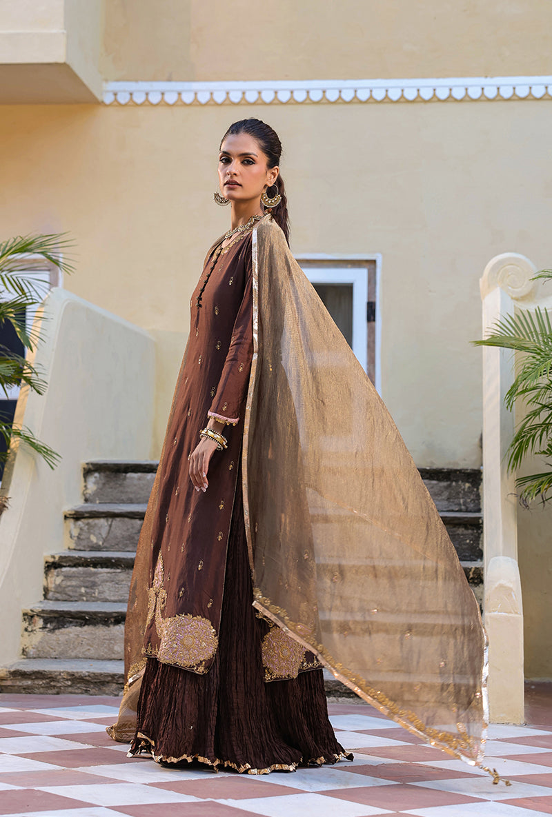 Brown Straight Raag Kurta Set