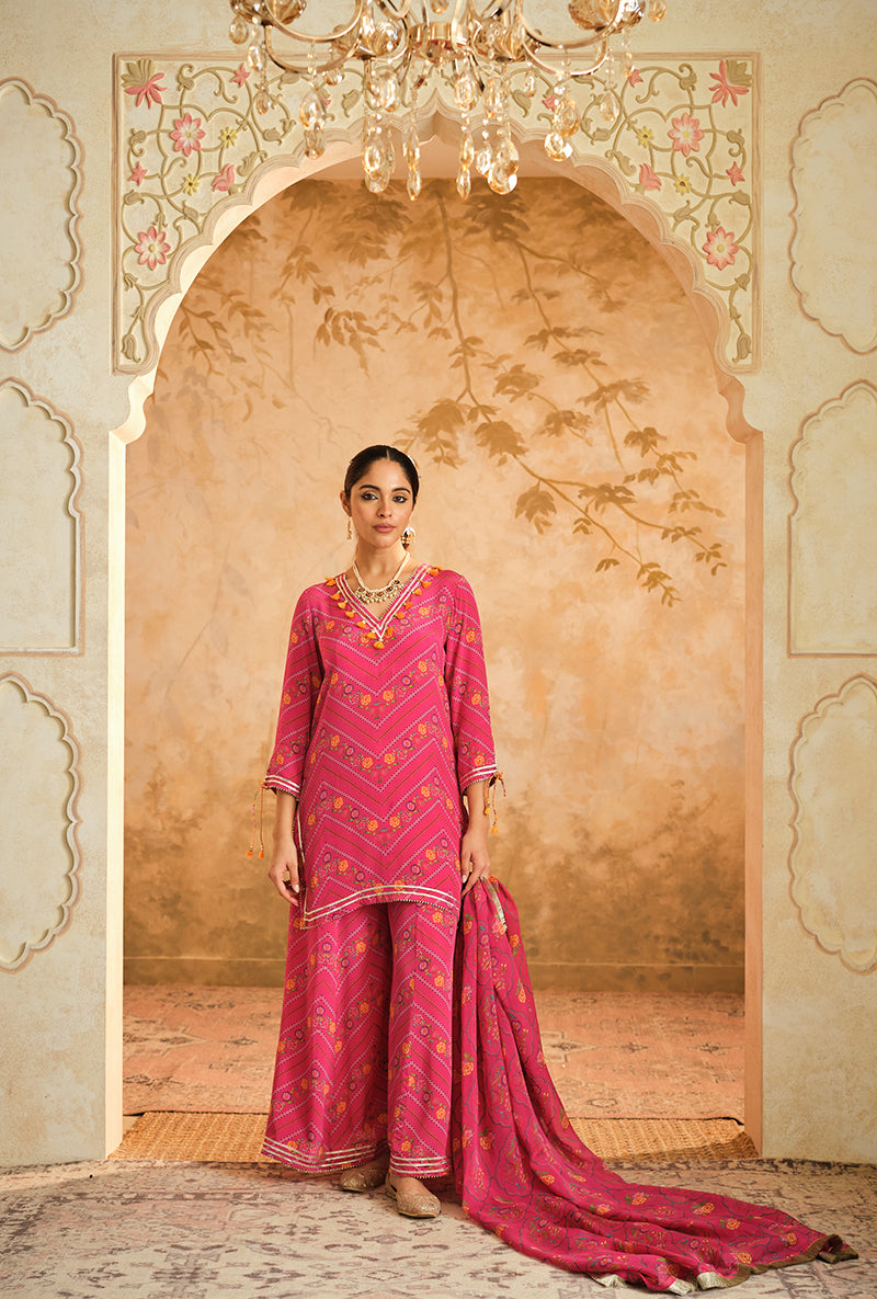 Hot Pink Chevron Floral Printed Goonj Sharara Set