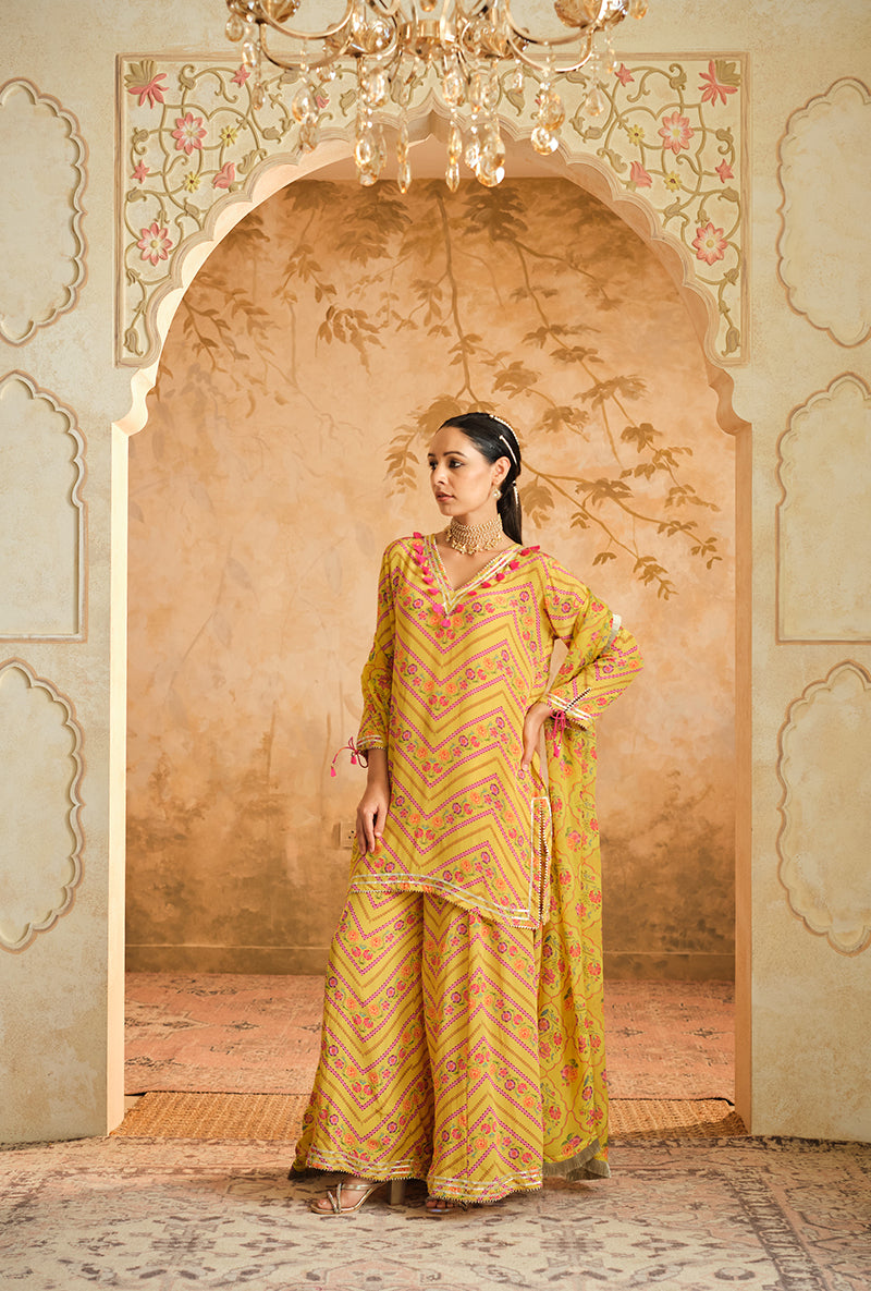 Lime Chevron Floral Printed Goonj Sharara Set