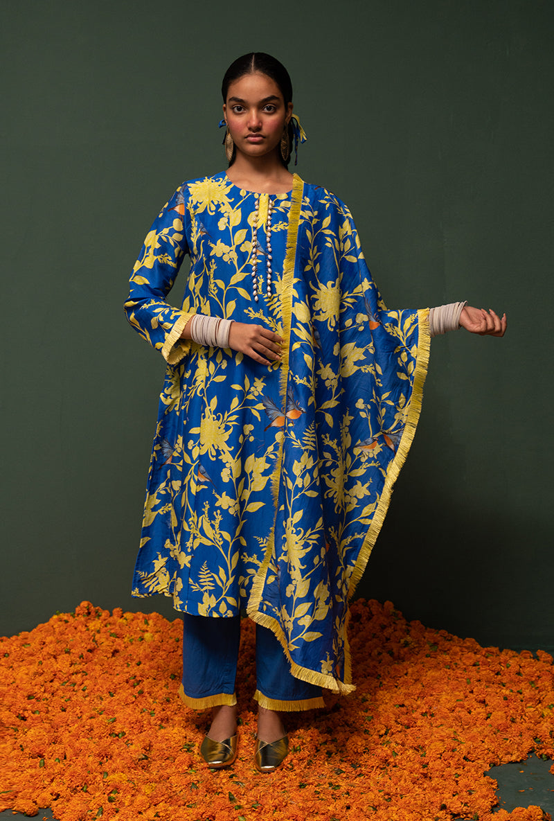 Blue Printed Long Sasha Kurta Set