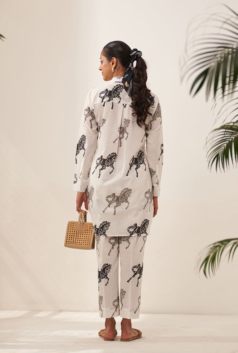 Rachna Singh In Grey Horse High Low Lovebirds Co-Ord Set