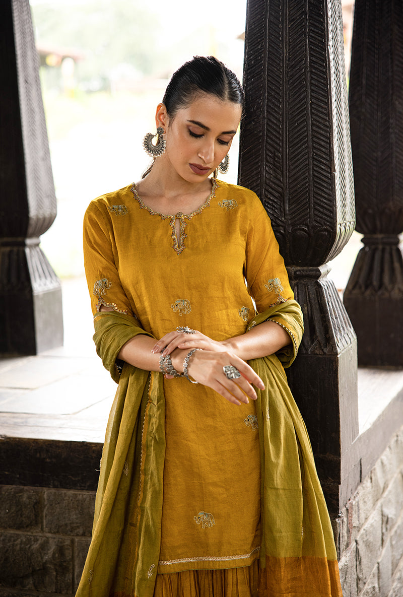 Mustard Elephant Motif Surmayi Sharara Set