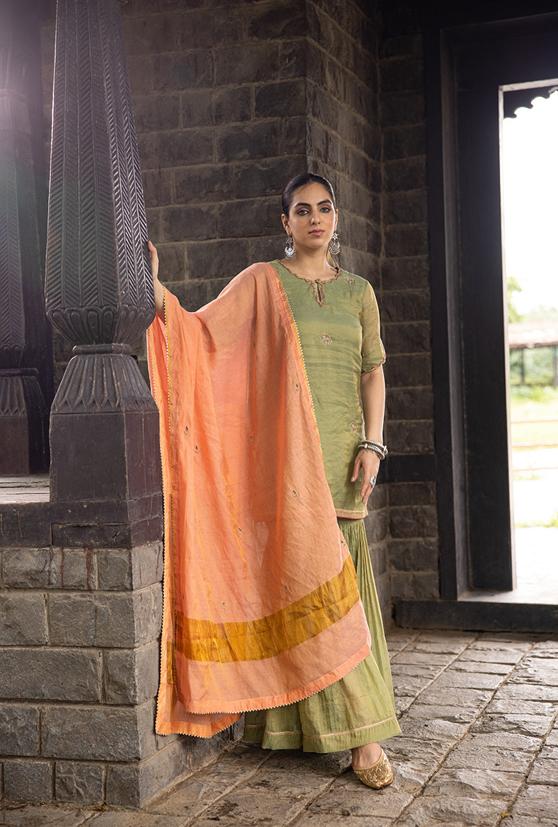 Pista Green Elephant Motif Surmayi Sharara Set