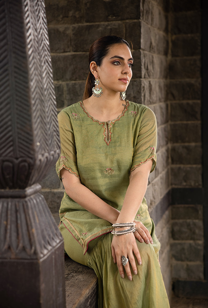 Pista Green Elephant Motif Surmayi Sharara Set