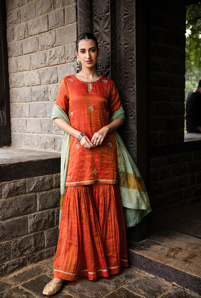 Rust Elephant Motif Surmayi Sharara Set
