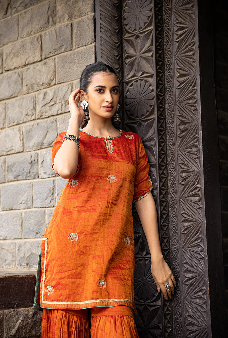 Rust Elephant Motif Surmayi Sharara Set
