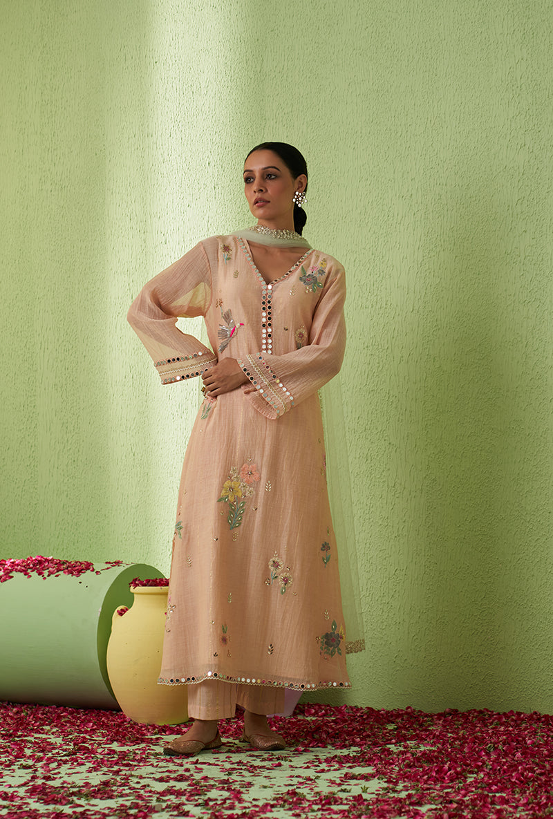 Baby Pink Mirror And Bird Motif A-Line Kurta Set