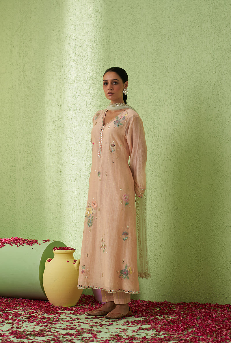 Baby Pink Mirror And Bird Motif A-Line Kurta Set