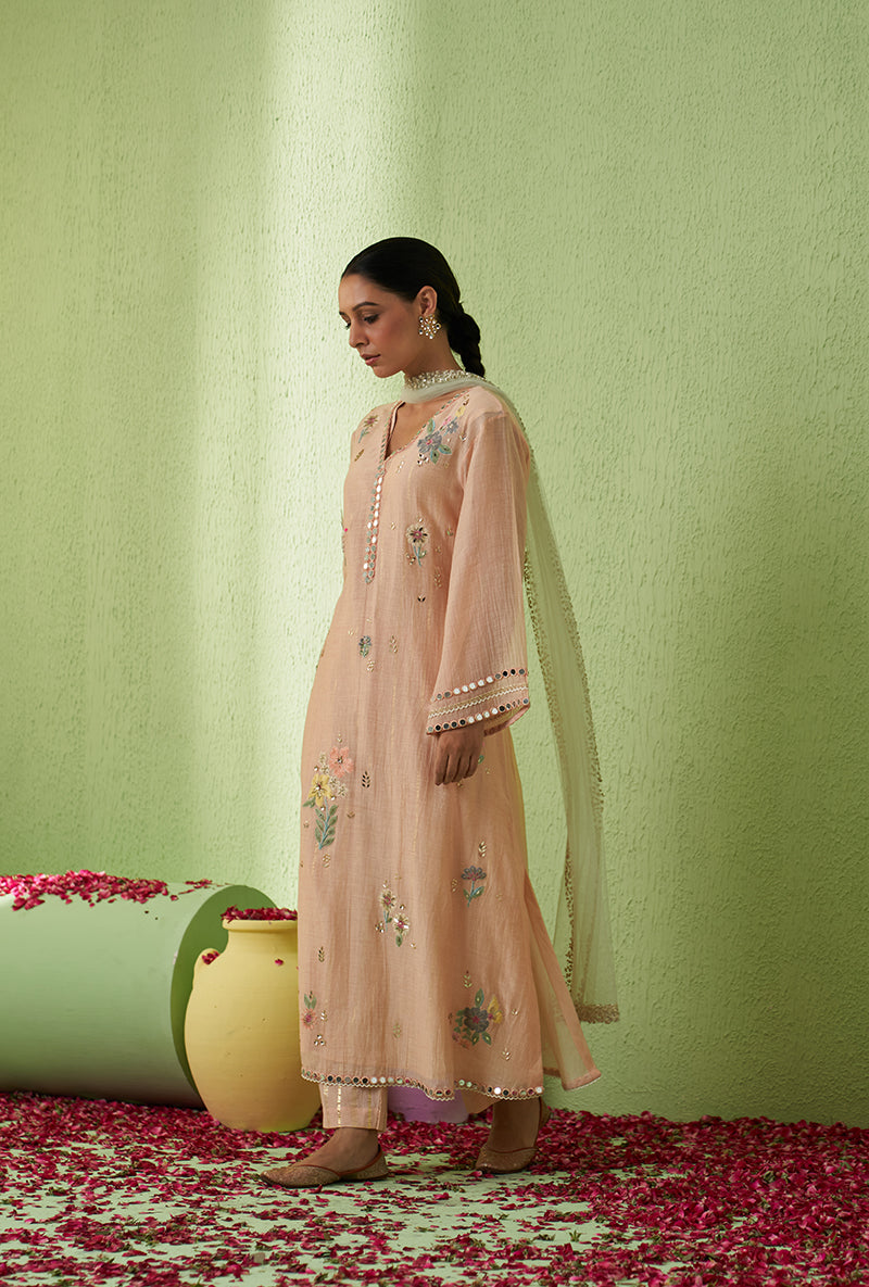 Baby Pink Mirror And Bird Motif A-Line Kurta Set
