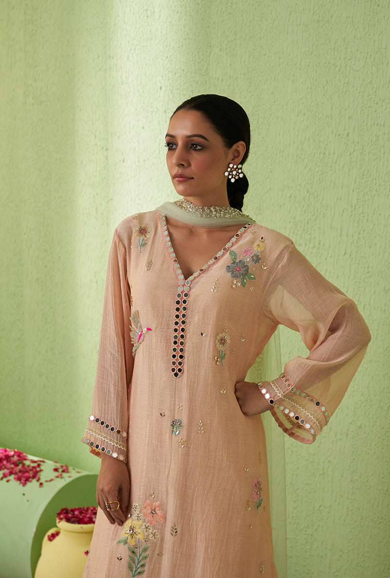 Baby Pink Mirror And Bird Motif A-Line Kurta Set