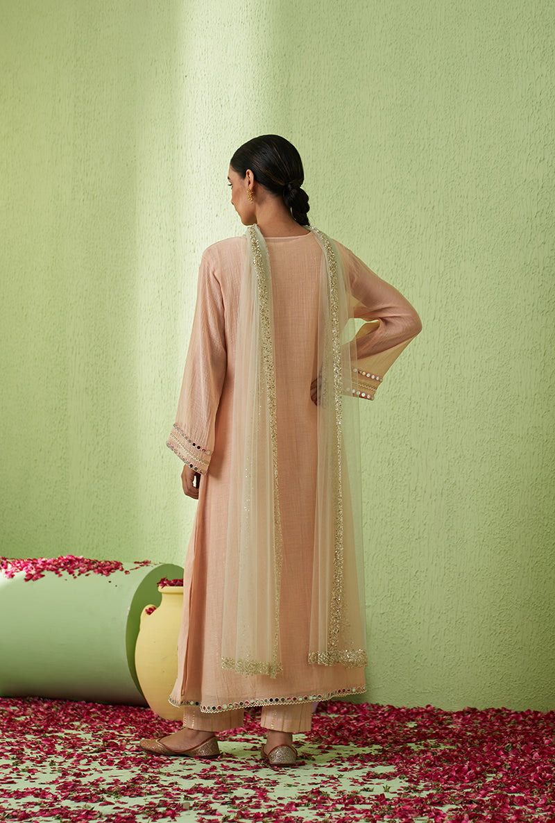 Baby Pink Mirror And Bird Motif A-Line Kurta Set