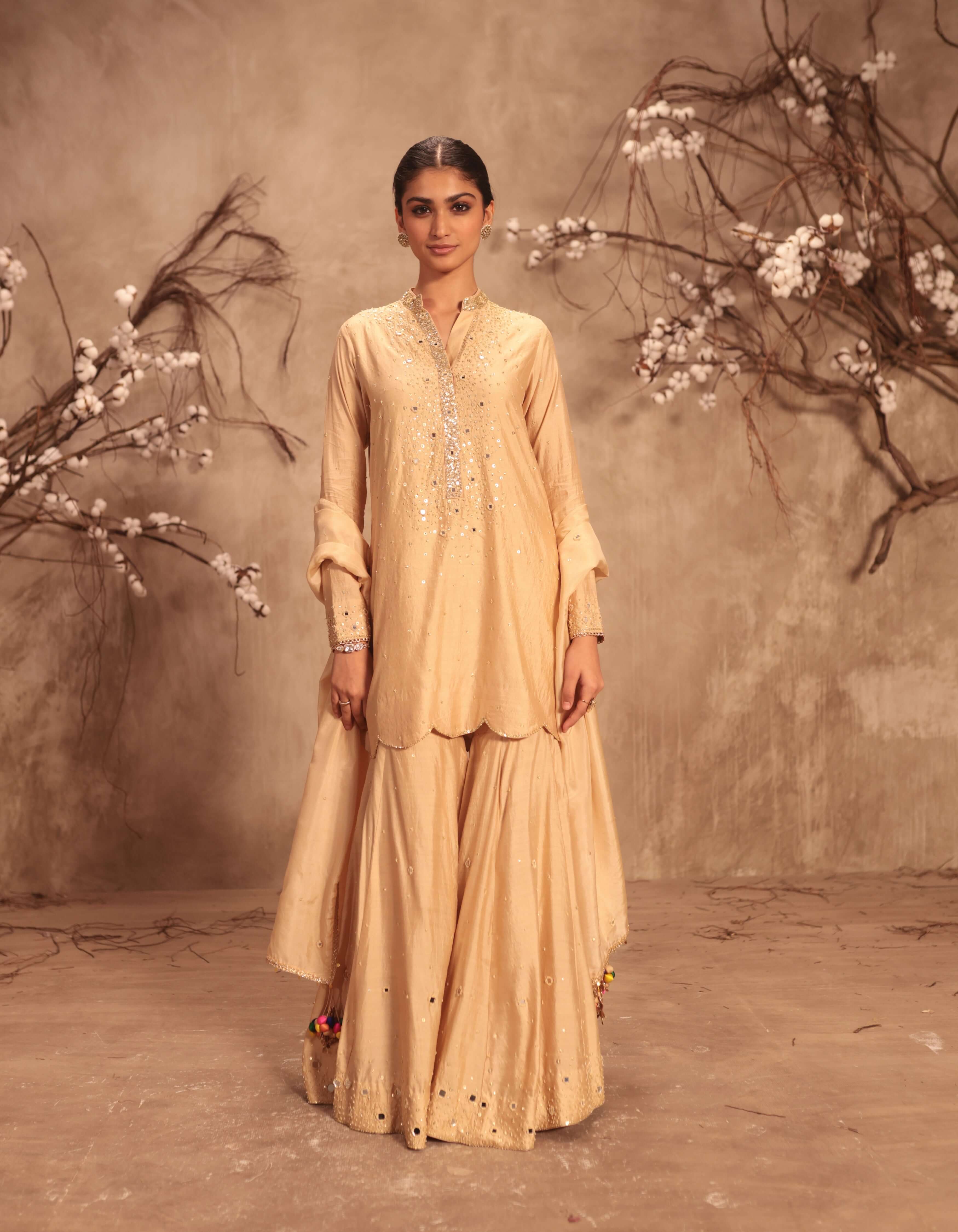 Ivory Heavy Mirror Work Rani Sharara Set