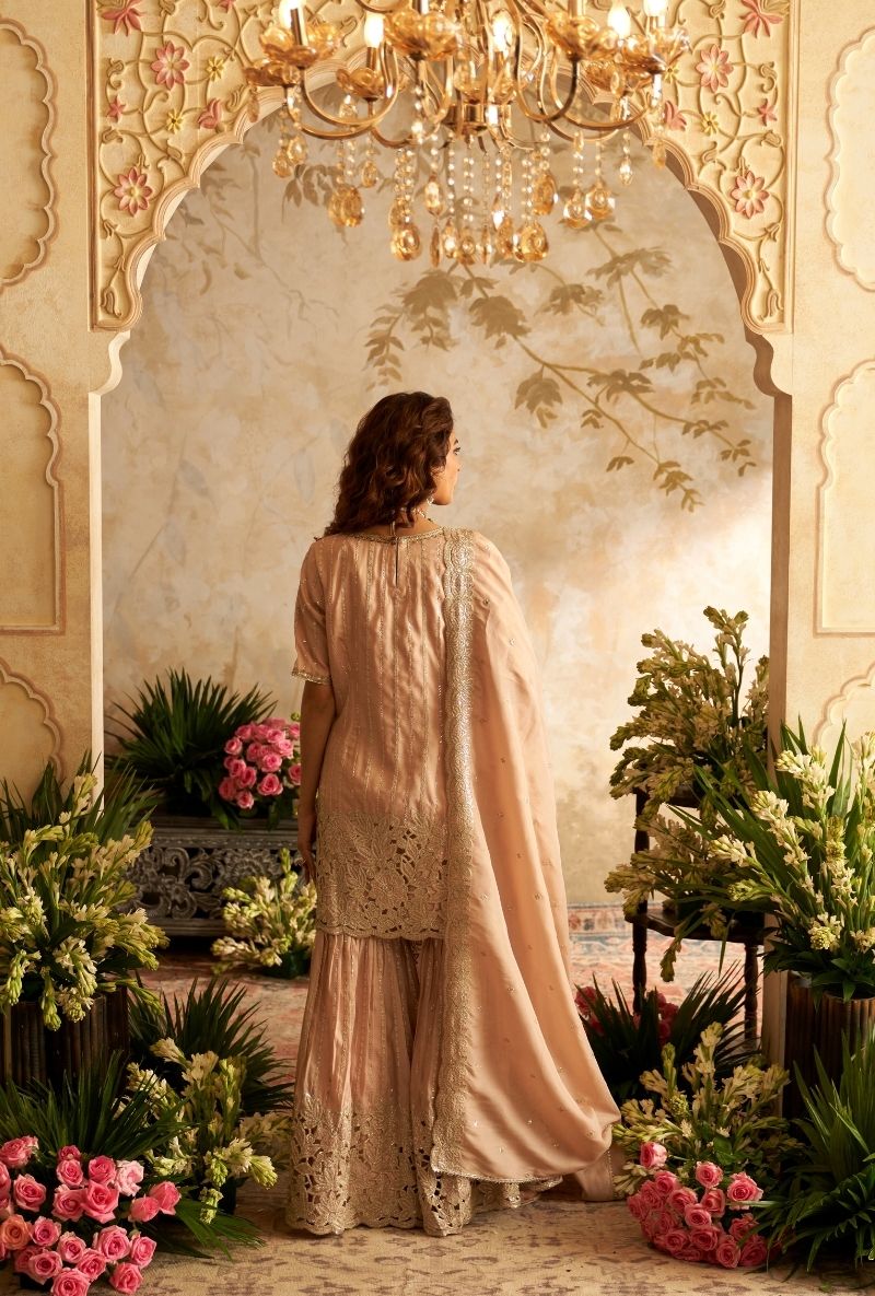 Baby Pink Cut Work Rumi Gharara Set