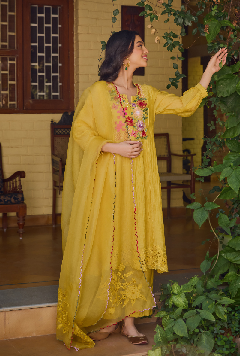 Mustad Hand Embroidered Yoke Anaardana Kurta Set