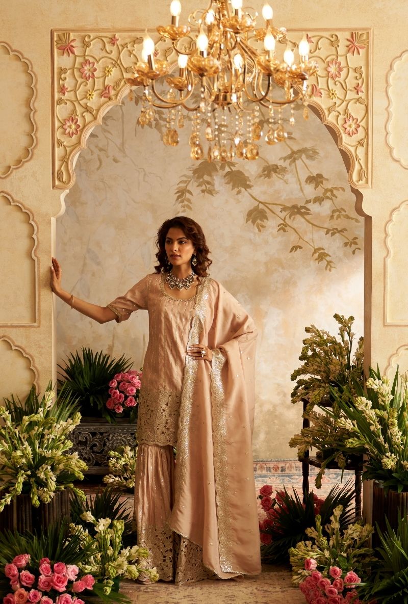 Baby Pink Cut Work Rumi Gharara Set