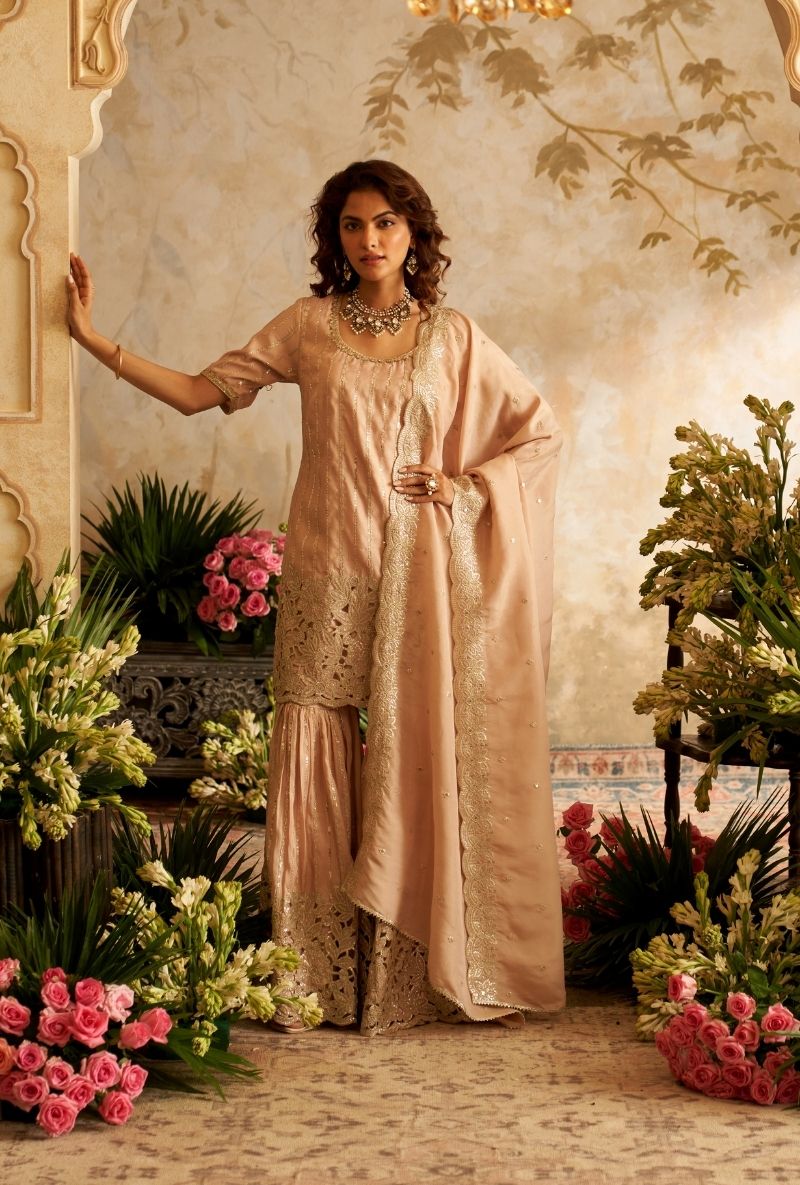 Baby Pink Cut Work Rumi Gharara Set