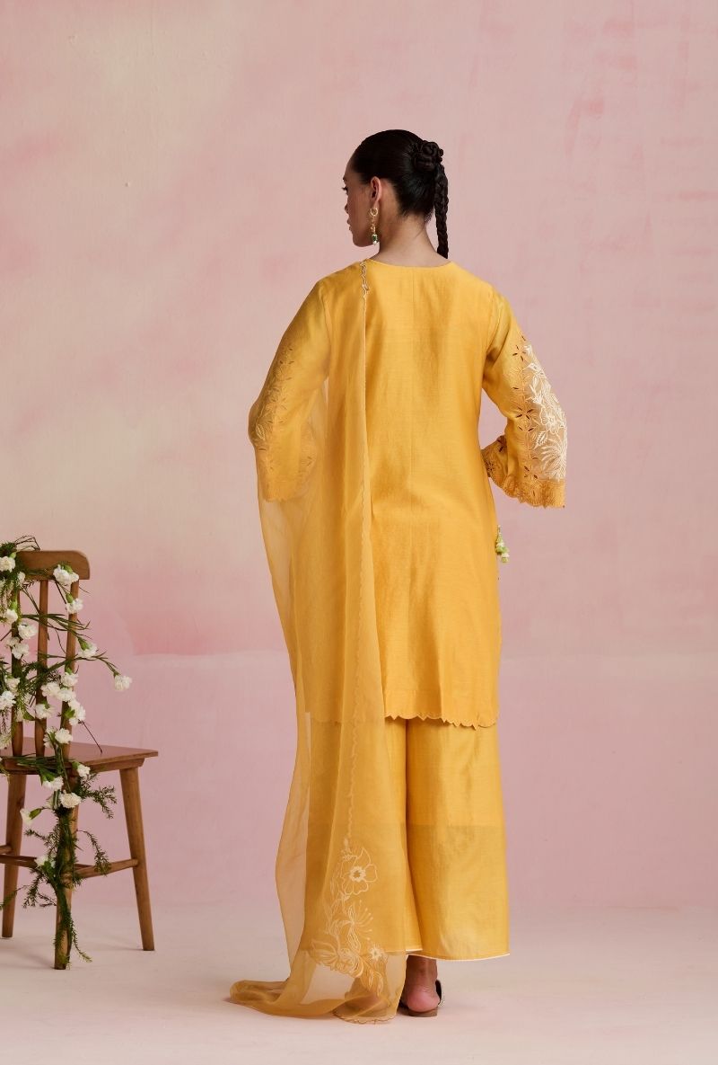 Yellow Emroidered Yoke Amara Kurta Set