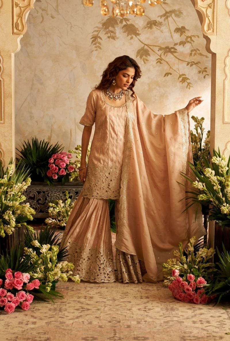 Baby Pink Cut Work Rumi Gharara Set