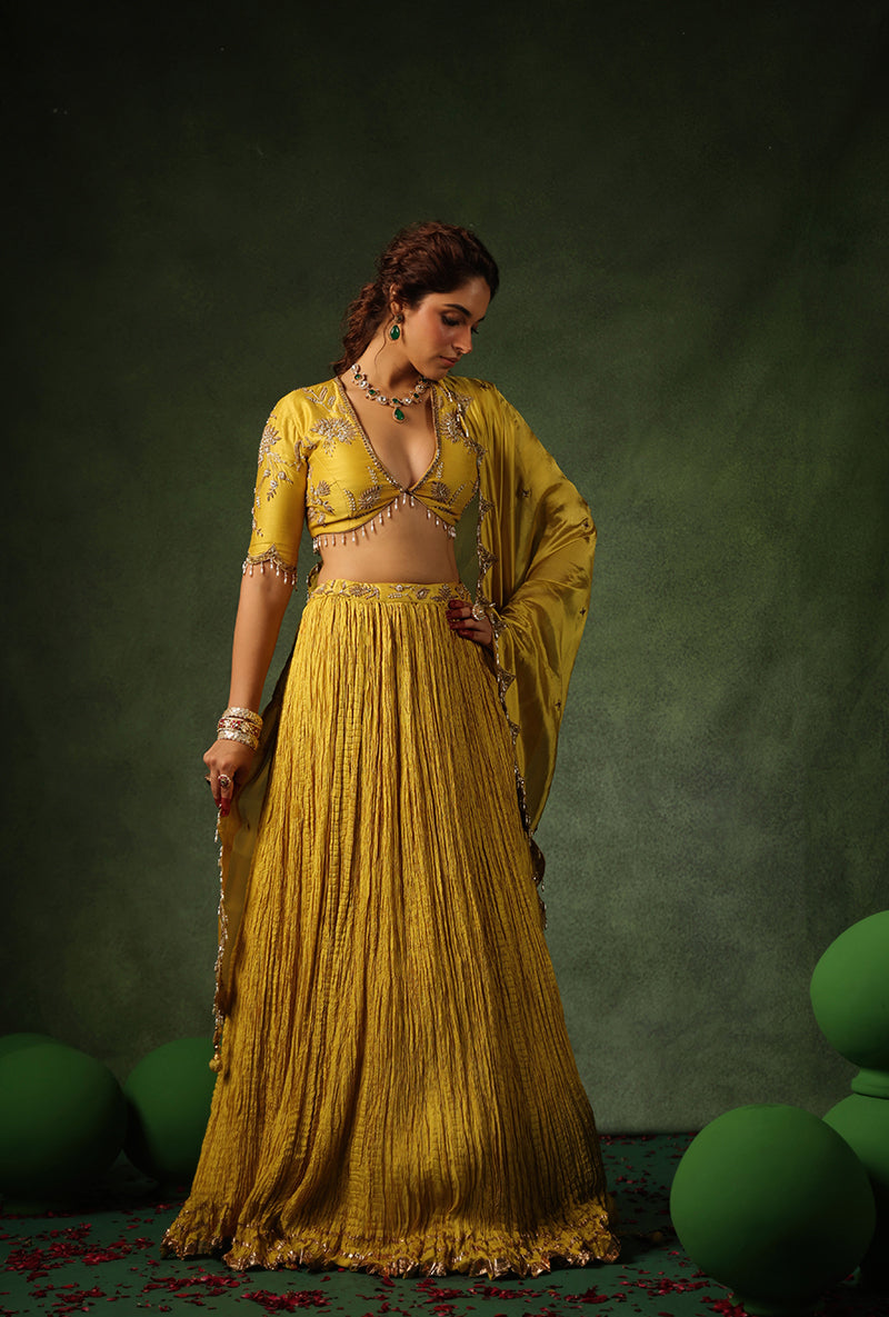 Yellow Zardosi Buta Ishq Lehenga Set