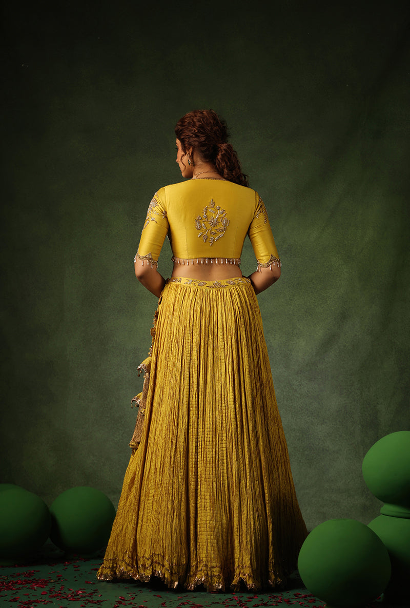 Yellow Zardosi Buta Ishq Lehenga Set