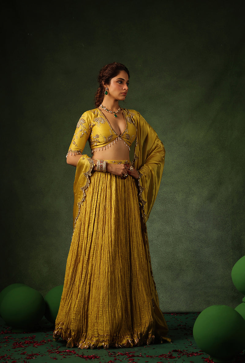 Yellow Zardosi Buta Ishq Lehenga Set