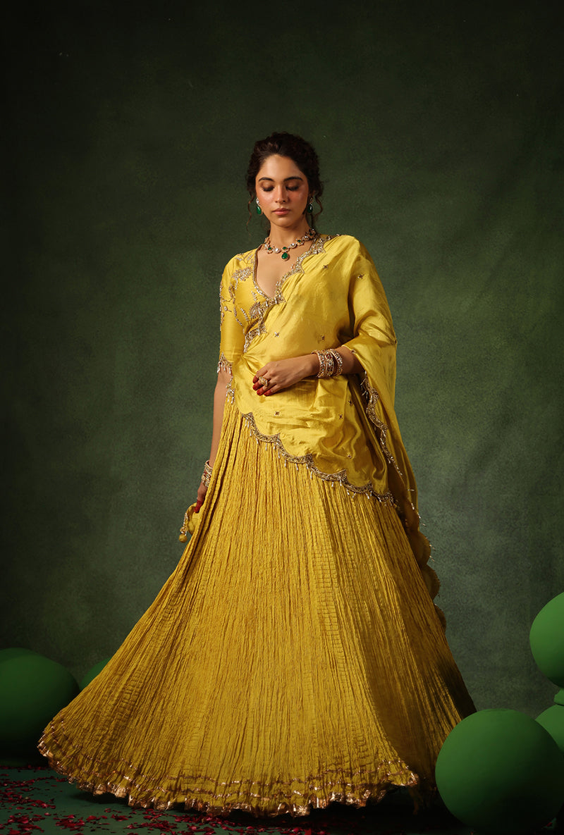 Yellow Zardosi Buta Ishq Lehenga Set