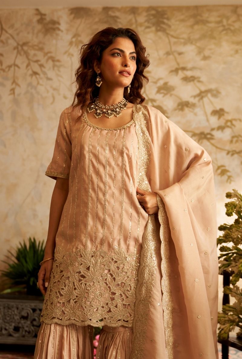 Baby Pink Cut Work Rumi Gharara Set