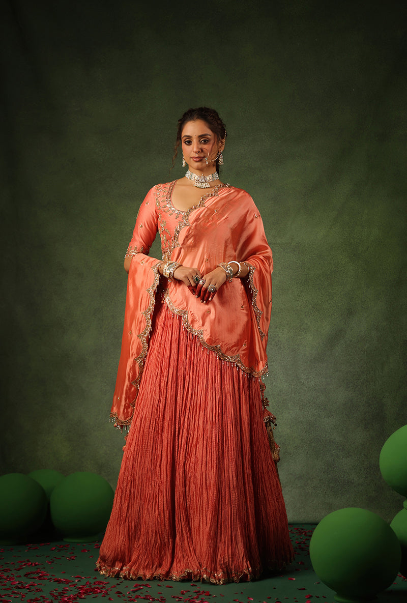 Peach Zardosi Ambi Buta Ishq Lehenga Set