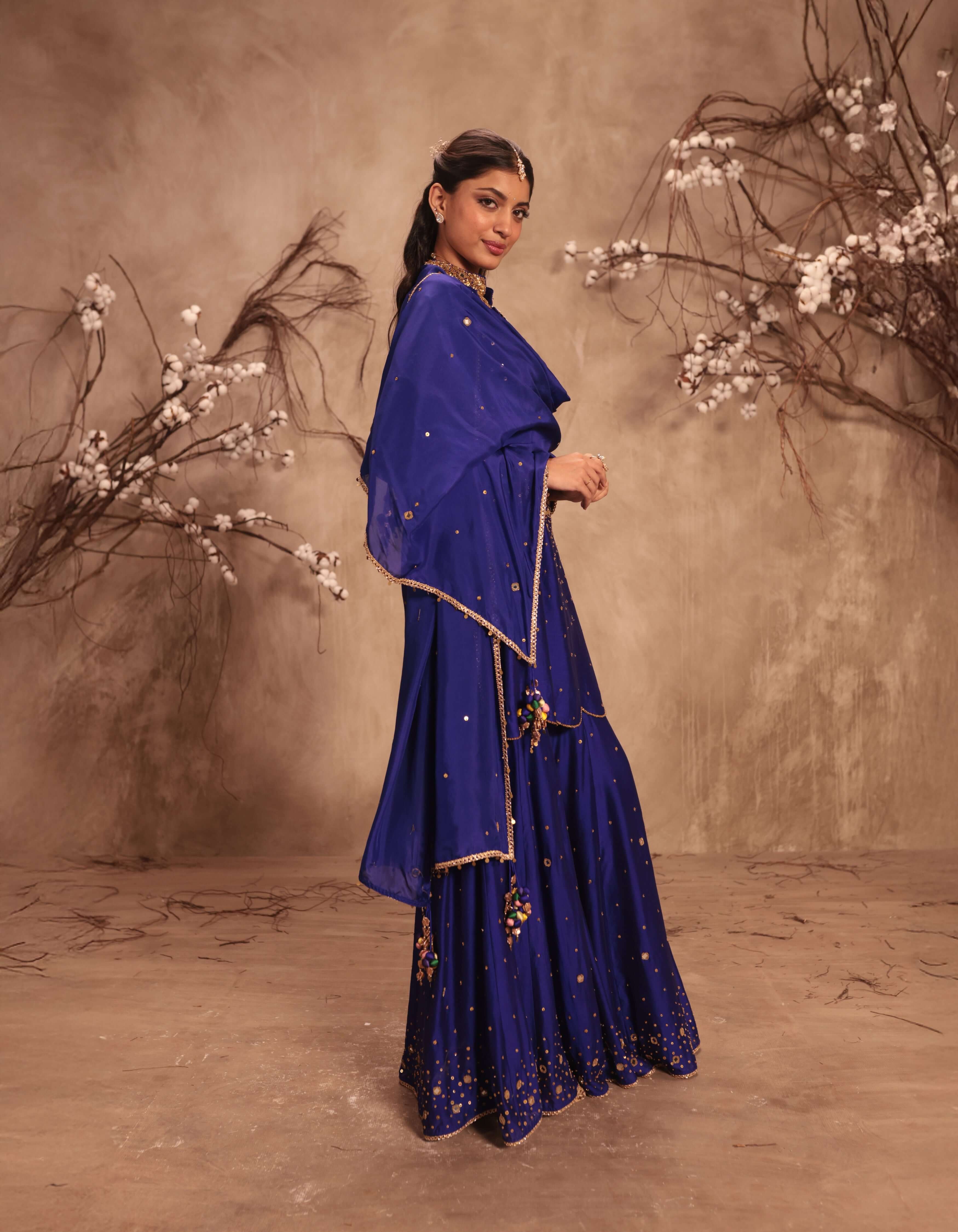 Indigo Heavy Mirror Work Rani Sharara Set