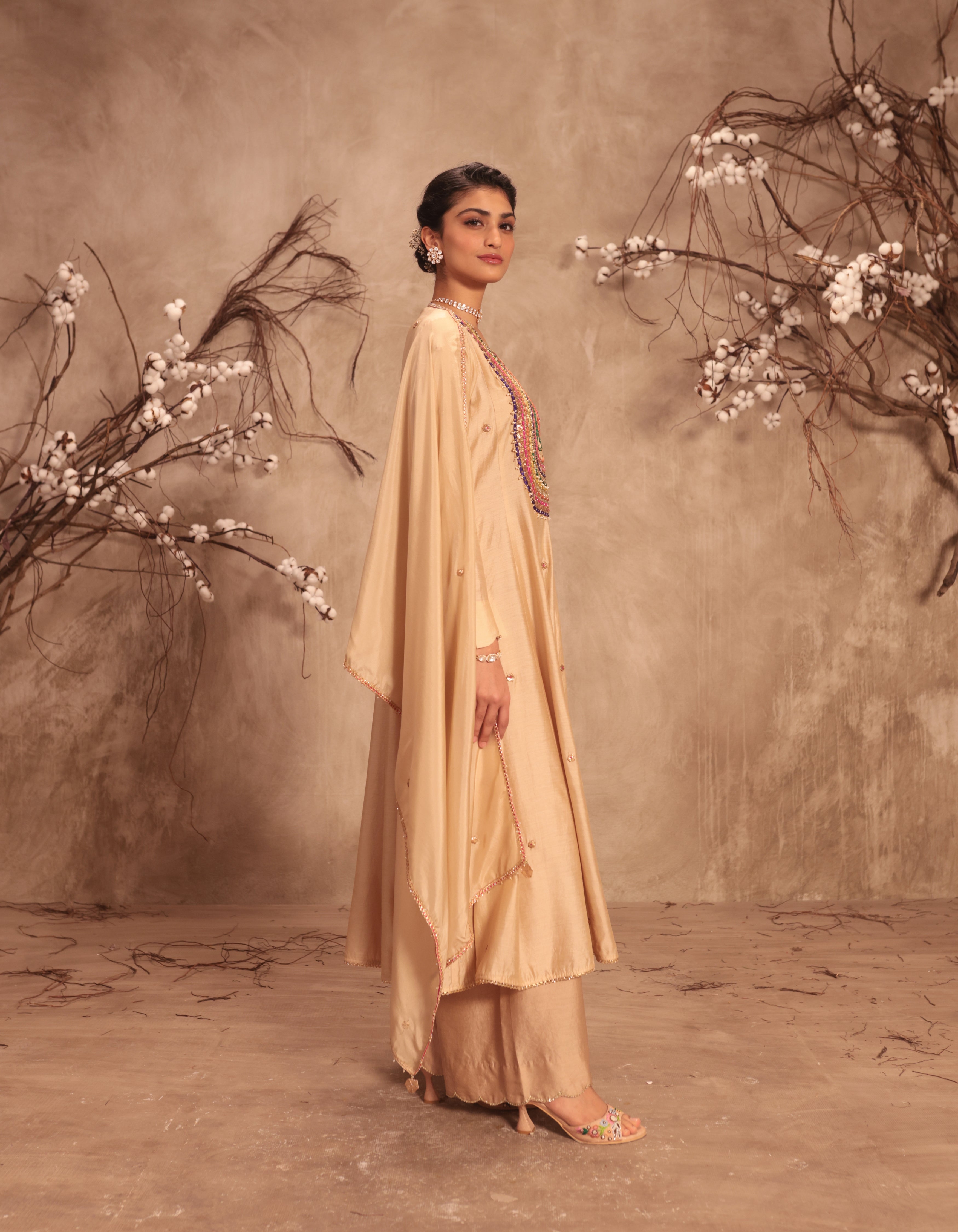 Ivory Multicolour Yoke Rani Anarkali Set