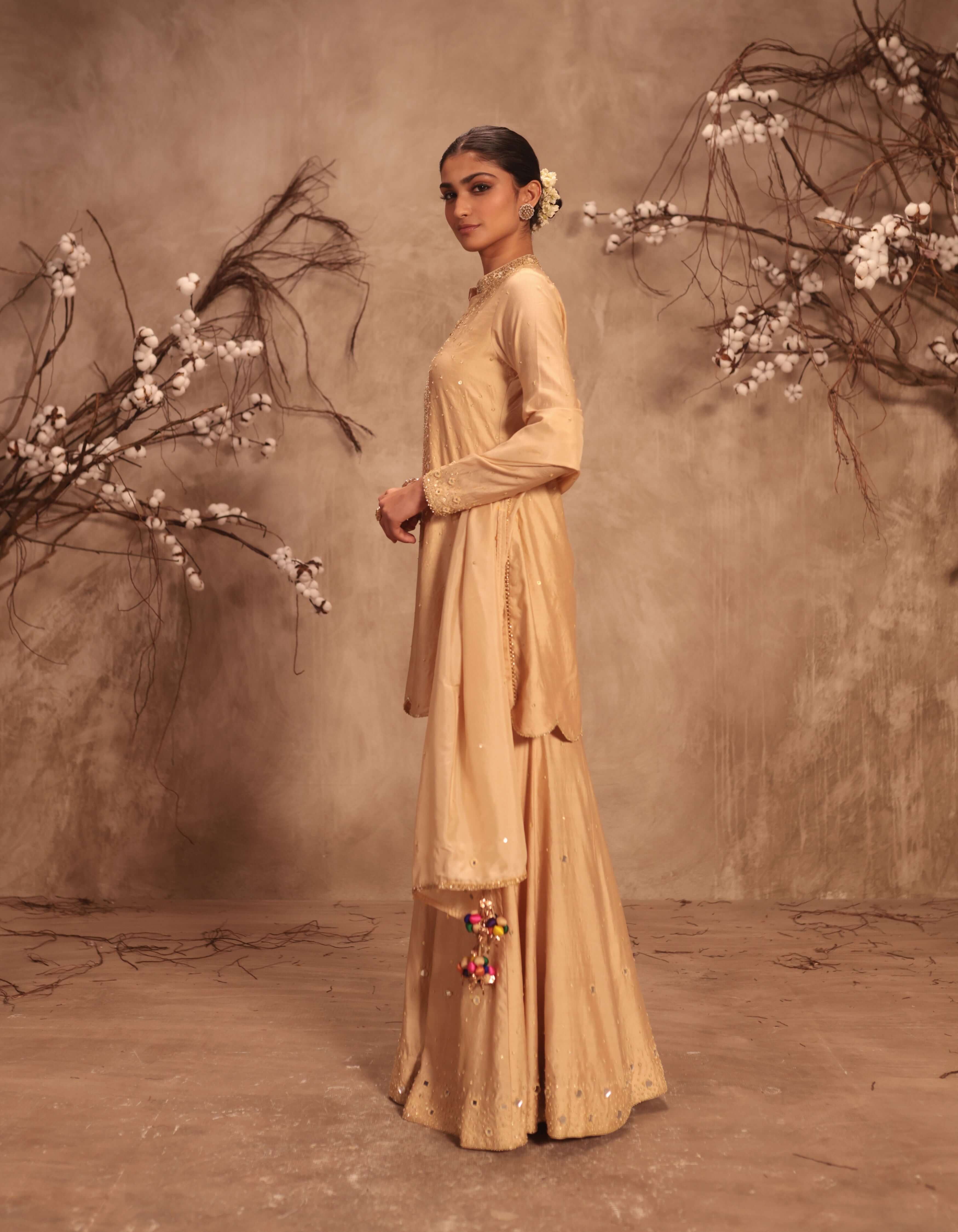 Ivory Heavy Mirror Work Rani Sharara Set