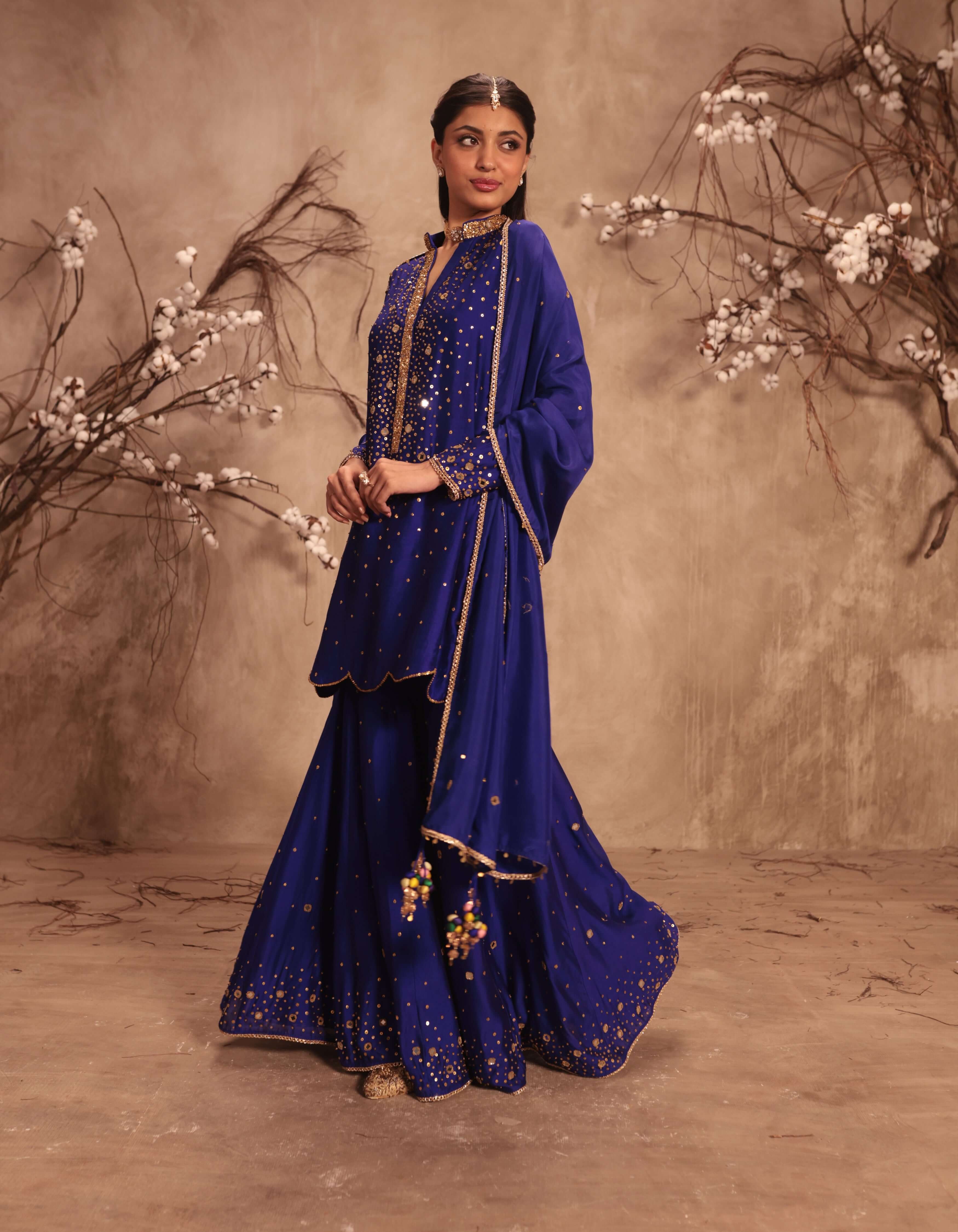 Indigo Heavy Mirror Work Rani Sharara Set