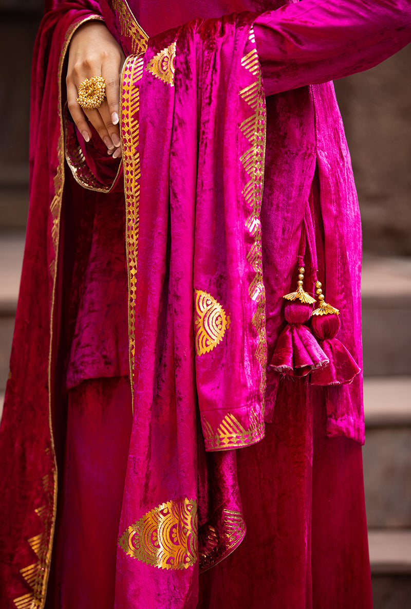 Rani Ruhaani Sharara Set