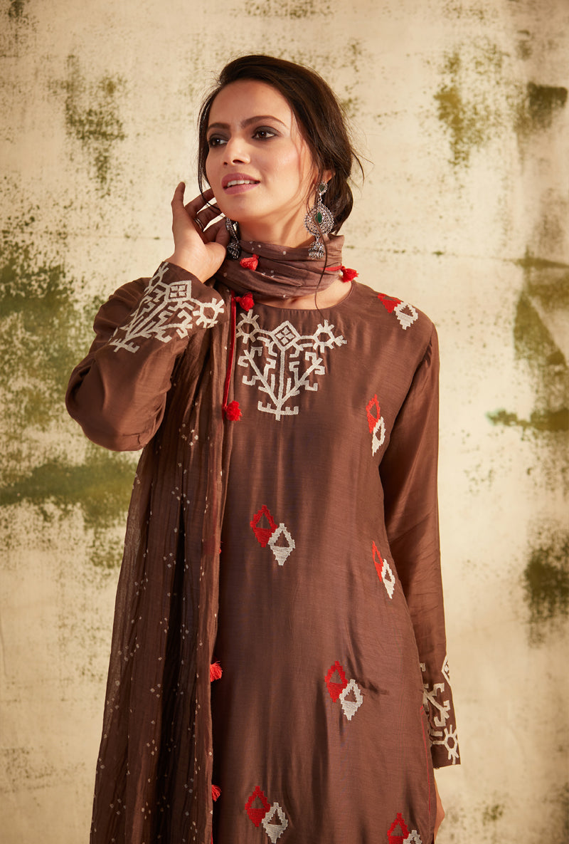Dark Taupe Barfi Straight Cut Inaya Kurta Set
