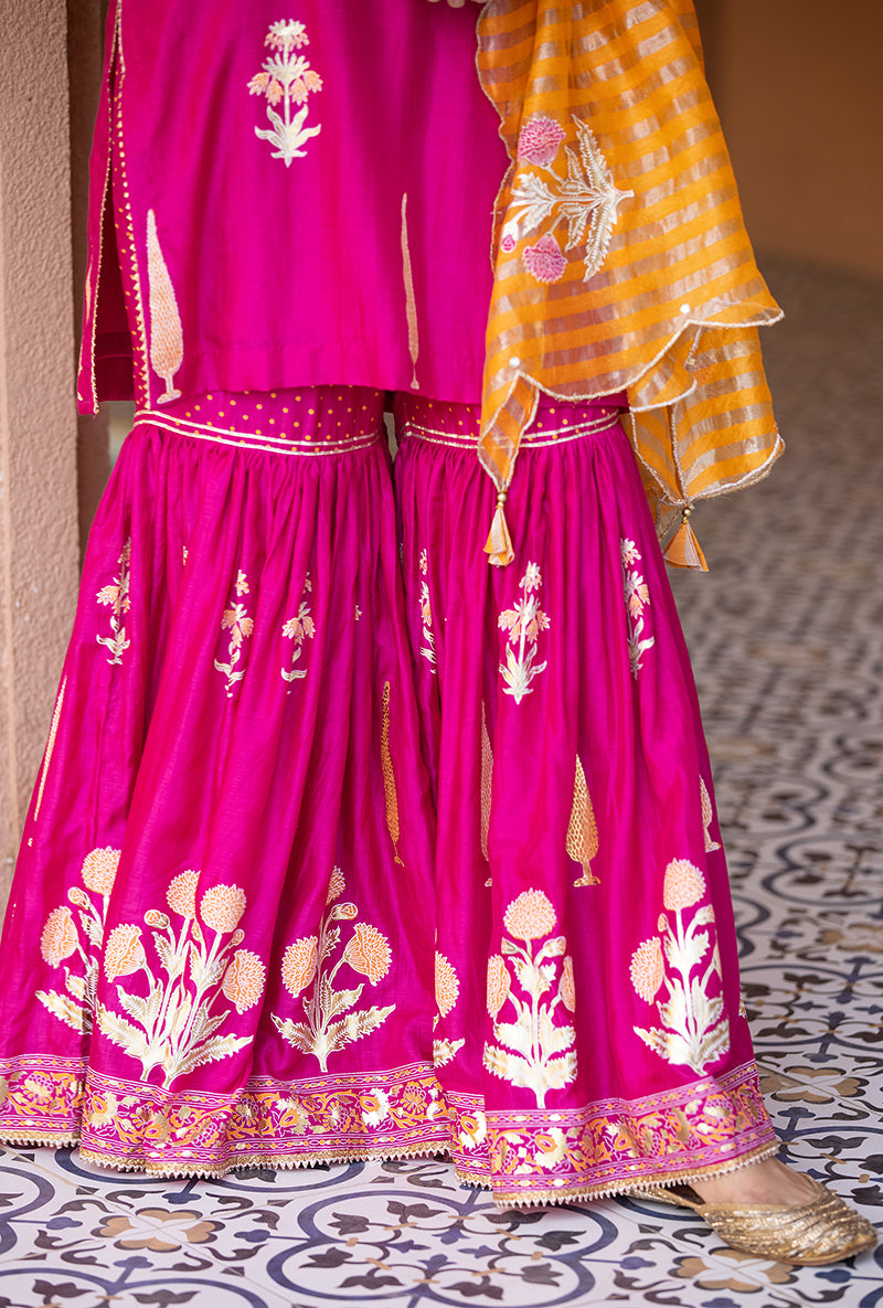 Rani Pink Nayaab Gharara Set