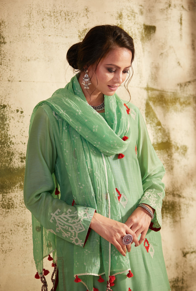 Ash Green Straight Cut Inaya Kurta Set