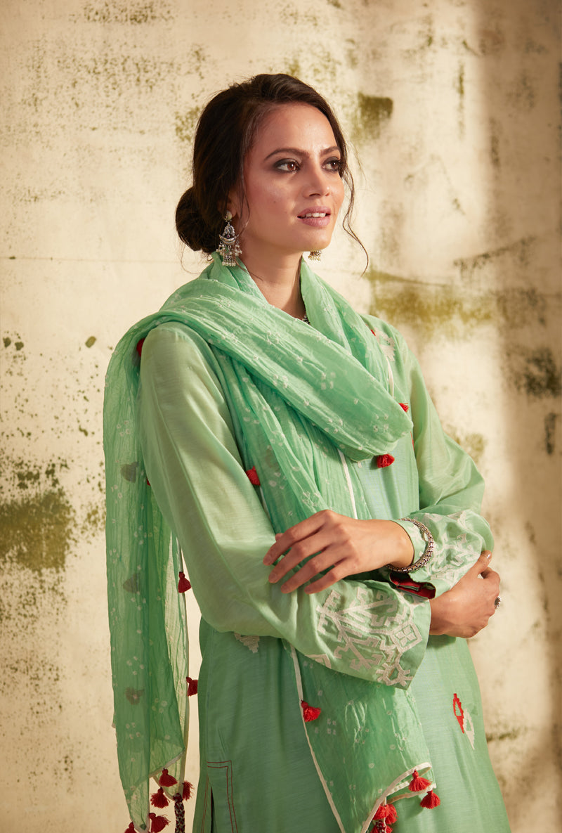 Ash Green Straight Cut Inaya Kurta Set