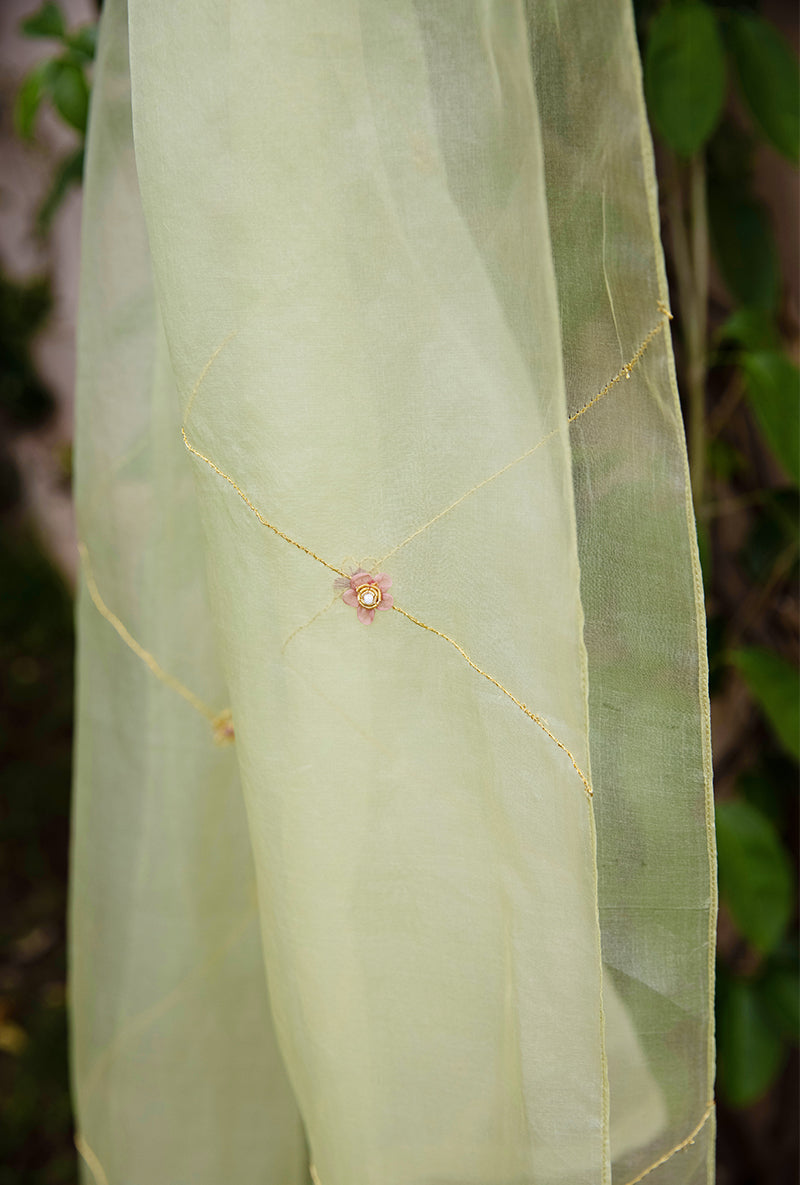 Pista Applique Heavy Baano Kurta Set