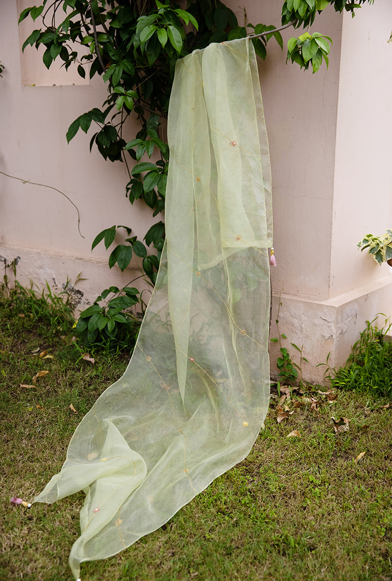 Pista Applique Heavy Baano Kurta Set