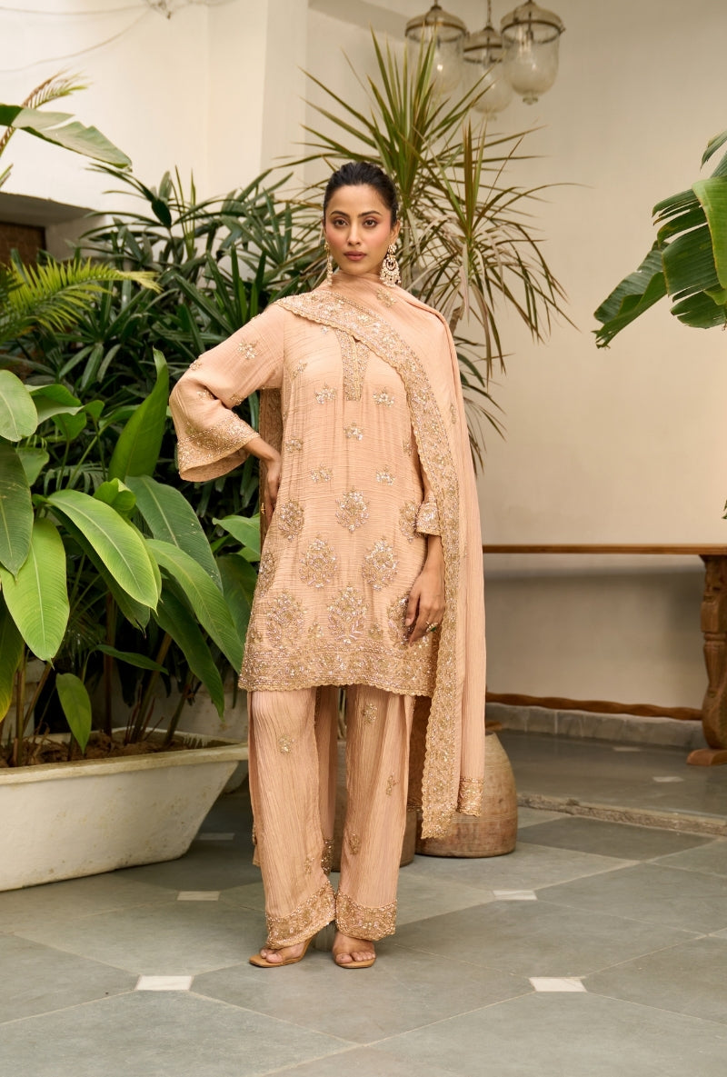 Light Pink Bell Sleeve Nadira Farshi Salwar Set