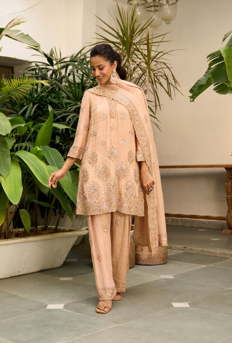 Light Pink Bell Sleeve Nadira Farshi Salwar Set