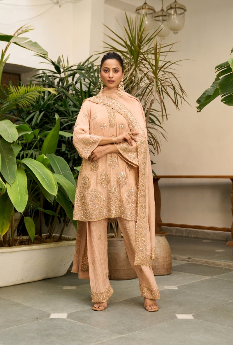 Light Pink Bell Sleeve Nadira Farshi Salwar Set