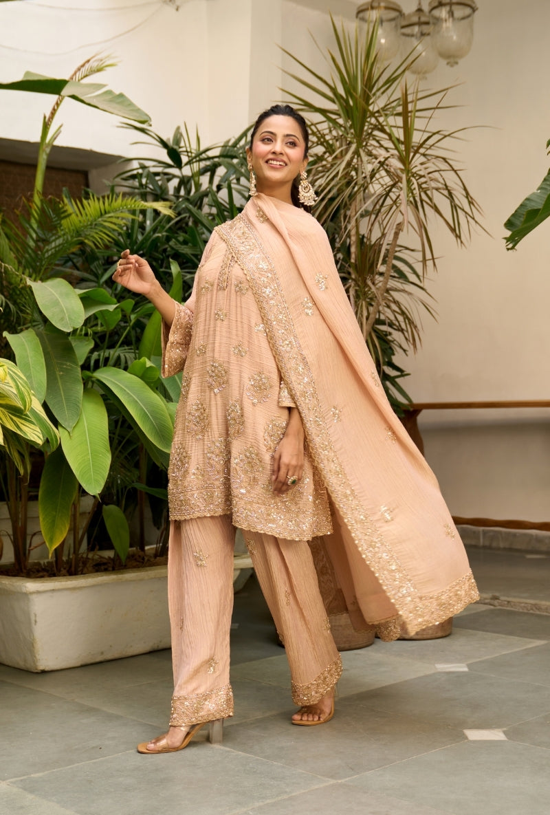 Light Pink Bell Sleeve Nadira Farshi Salwar Set