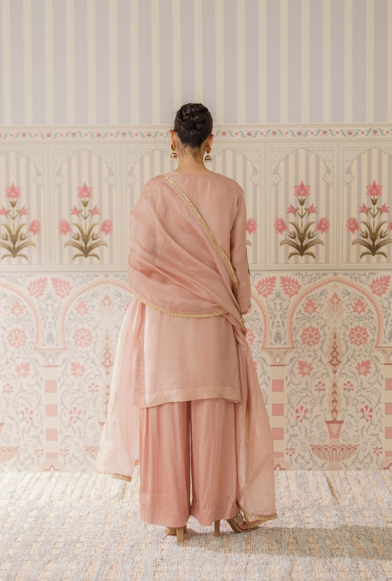 Powder Pink Dabka Long Yoke Mallika Kurta Set