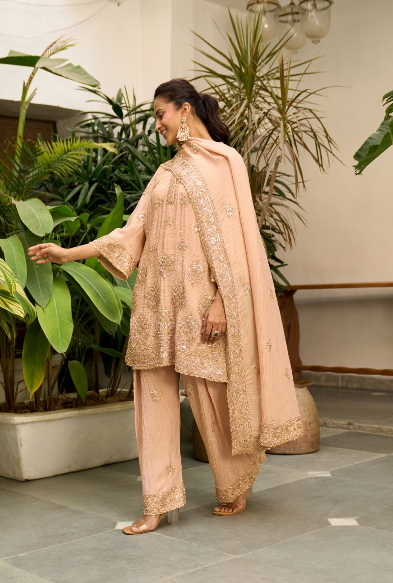 Light Pink Bell Sleeve Nadira Farshi Salwar Set