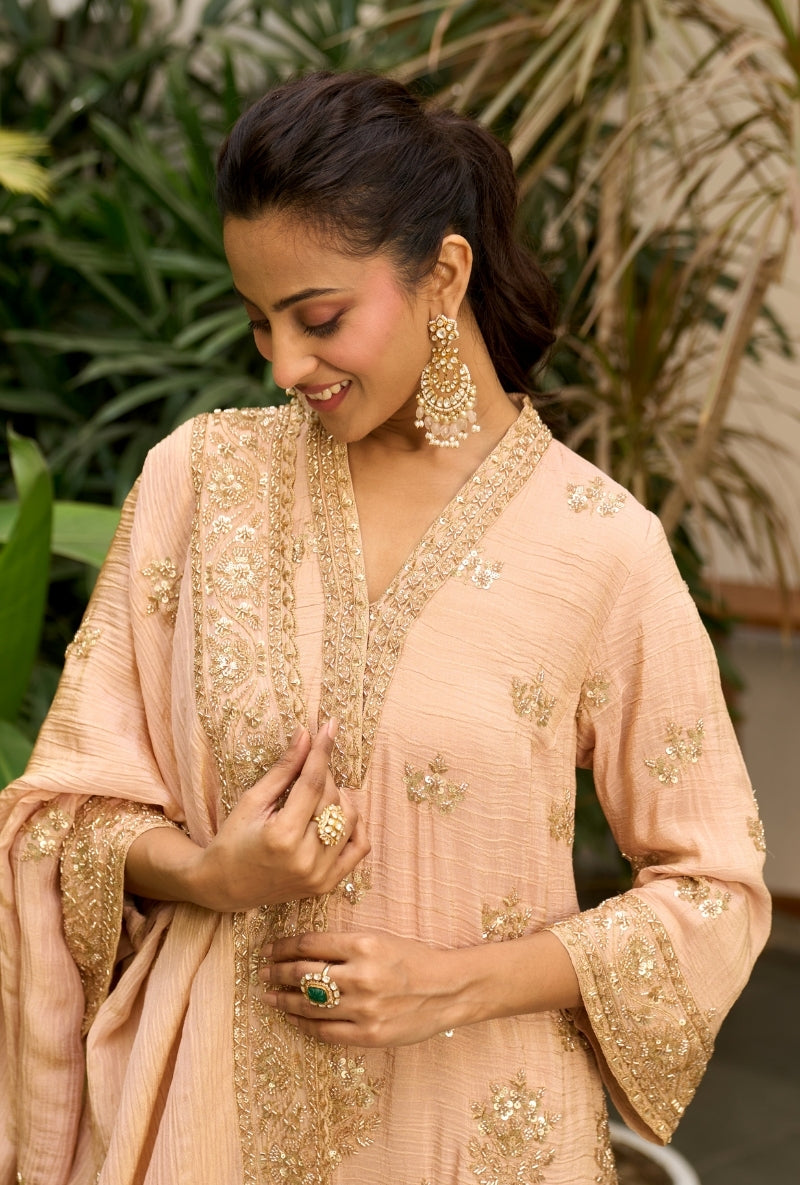 Light Pink Bell Sleeve Nadira Farshi Salwar Set