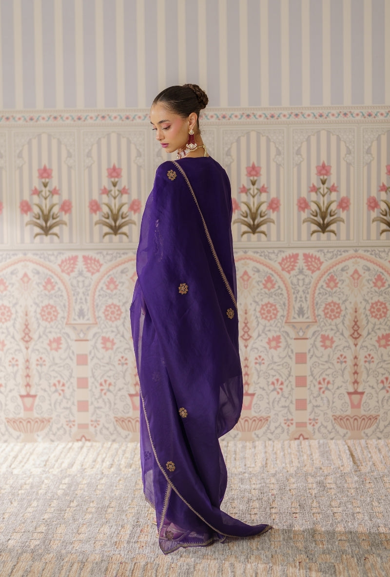 Navy Blue Dabka and Sequin Hand Embroidery Mallika Farshi Set