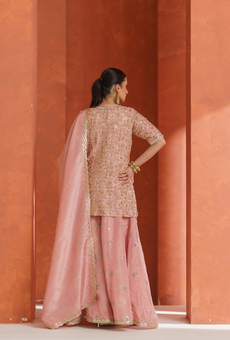 Light Pink All Over Zari &amp; Sequin Work Vira Sharara Set